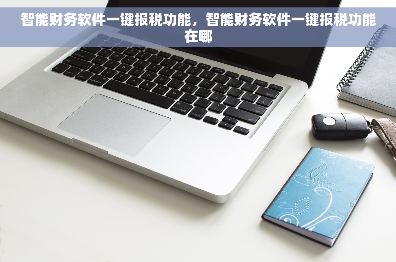 智能财务软件一键报税功能，智能财务软件一键报税功能在哪