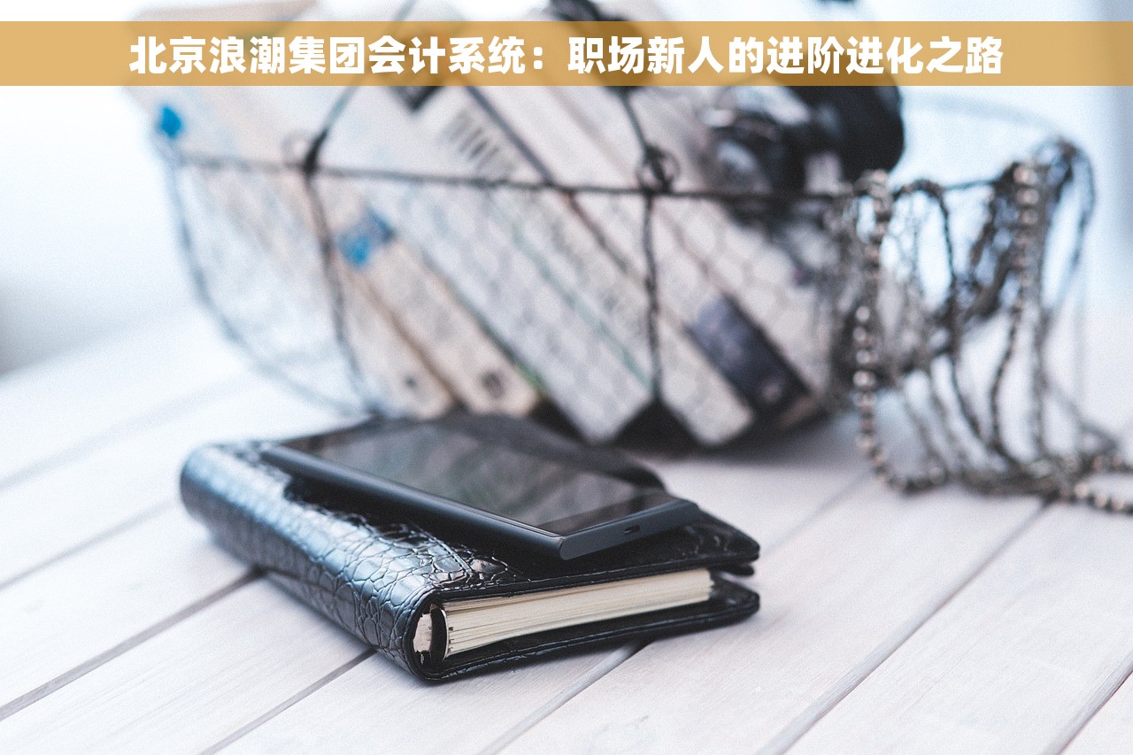 T+12.1凭证可以导入特殊字段吗？