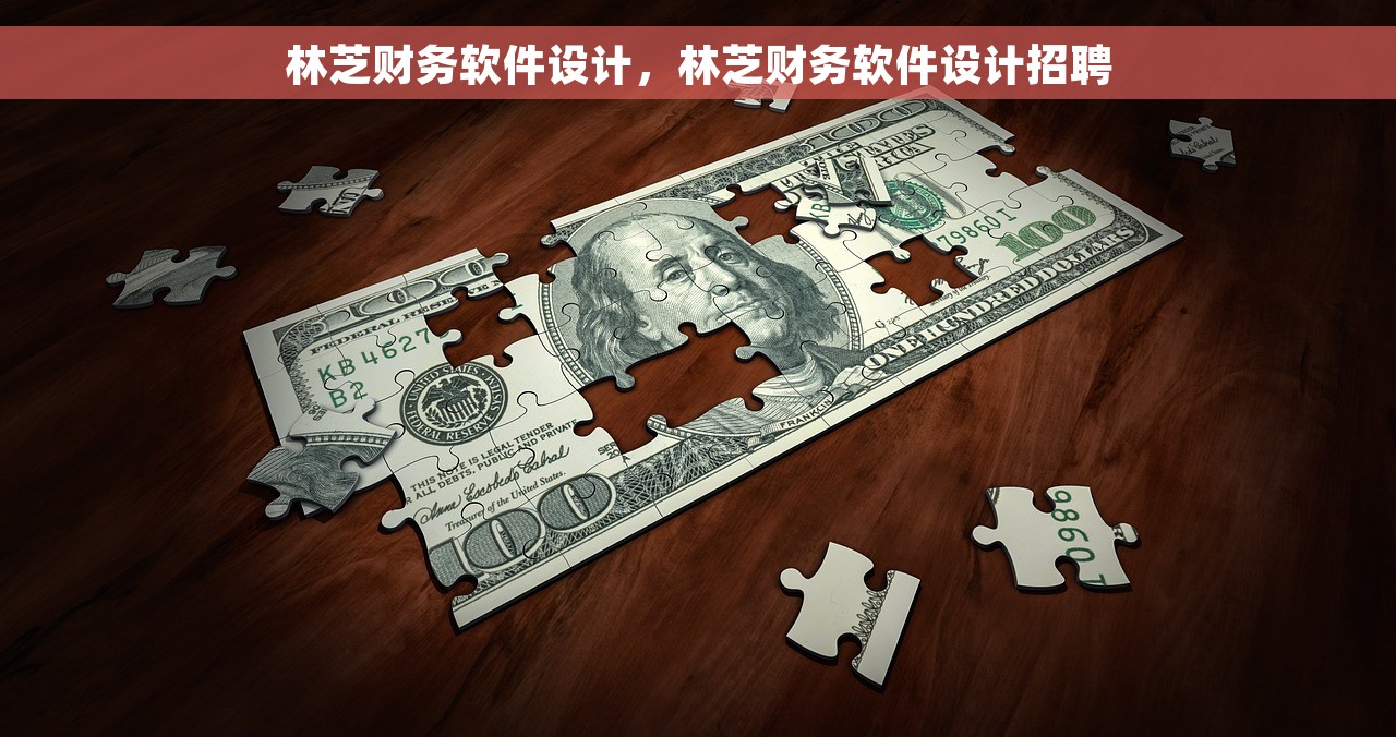 林芝财务软件设计，林芝财务软件设计招聘