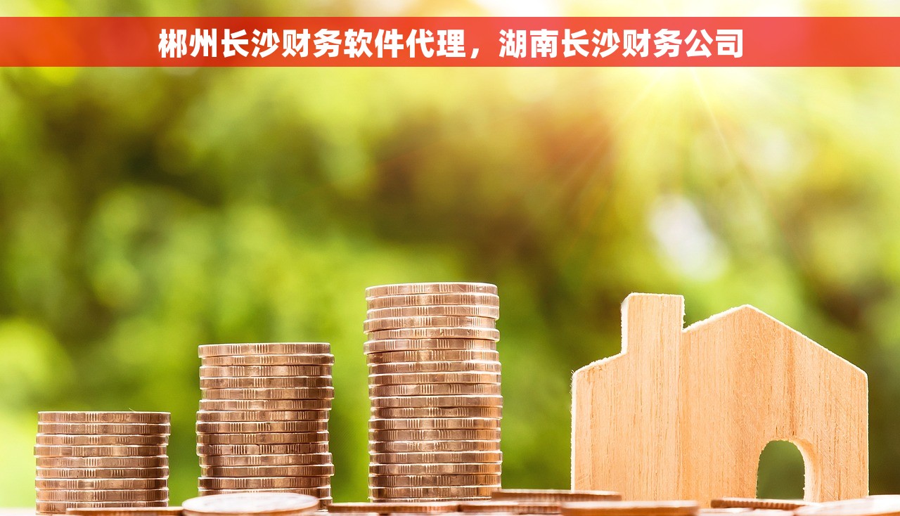 郴州长沙财务软件代理，湖南长沙财务公司