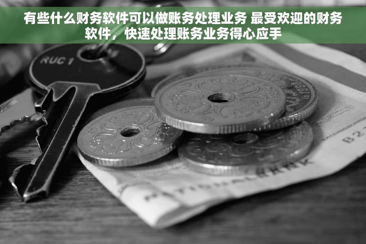 附近餐饮店财务软件定制怎么做的 定制附近餐饮店个性化财务软件-开发和定制服务