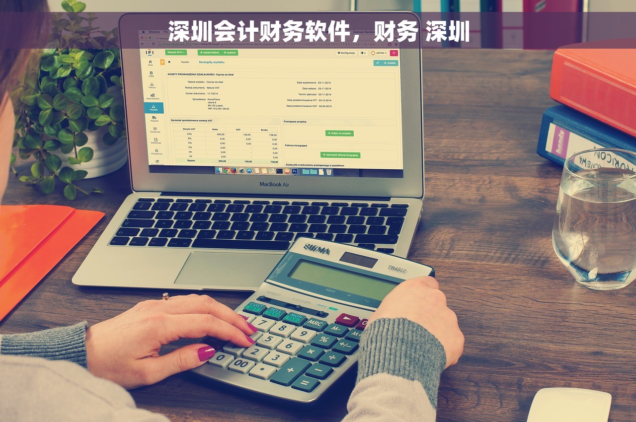 excel财务做账平台 Excel财务做账平台免费试用评测：财务管理新风口，抓住机会赢在起点