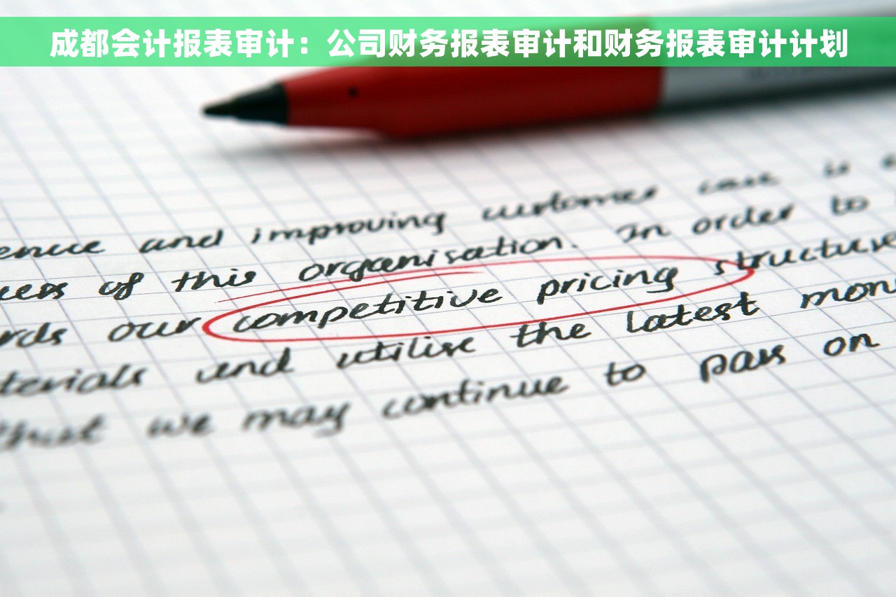 成都会计报表审计：公司财务报表审计和财务报表审计计划