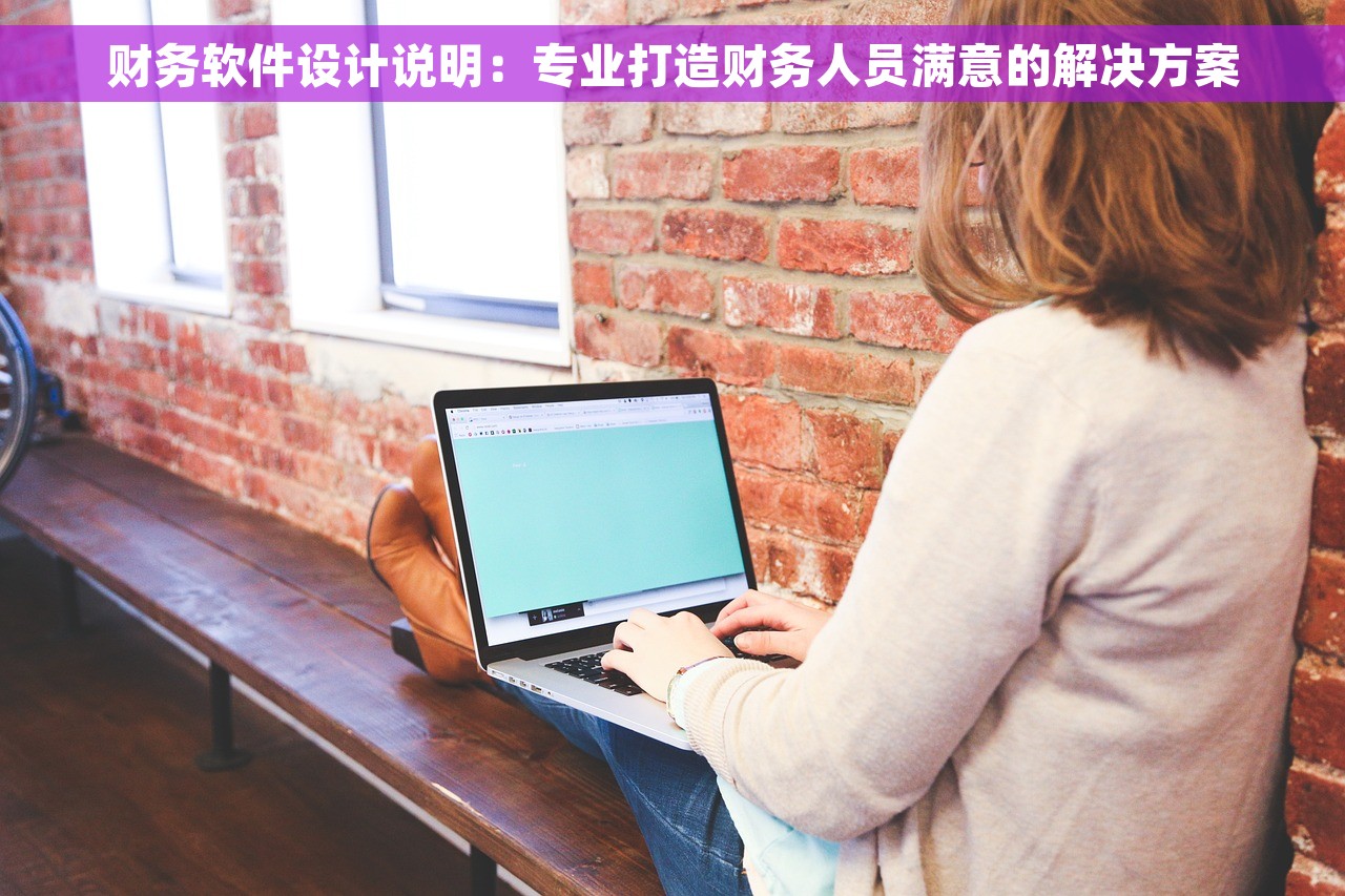 财务软件设计说明：专业打造财务人员满意的解决方案