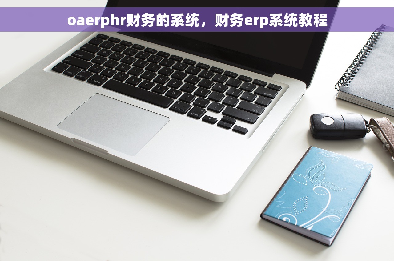 oaerphr财务的系统，财务erp系统教程