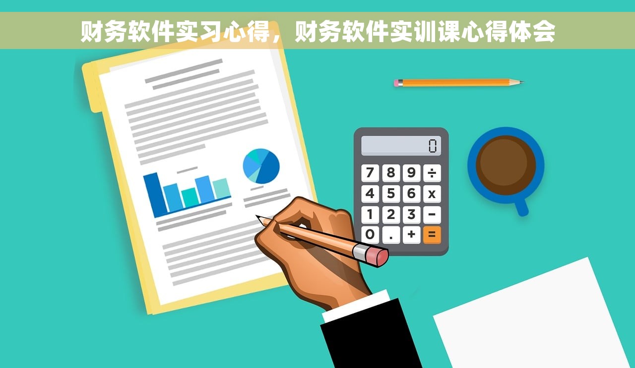 财务软件实习心得，财务软件实训课心得体会