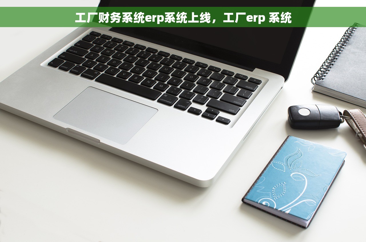工厂财务系统erp系统上线，工厂erp 系统