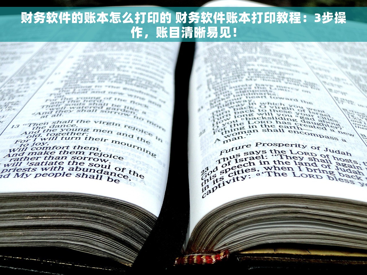 财务软件的账本怎么打印的 财务软件账本打印教程：3步操作，账目清晰易见！