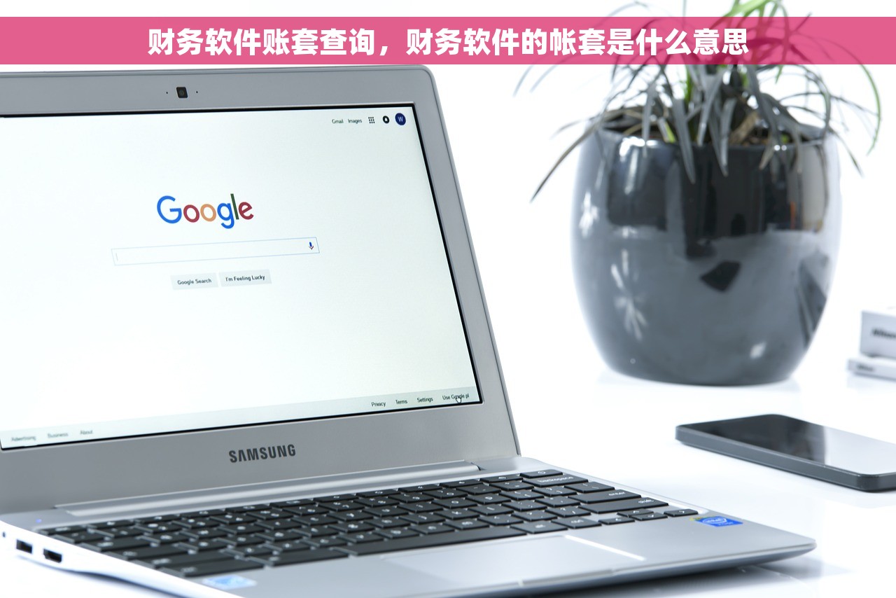 财务软件账套查询，财务软件的帐套是什么意思