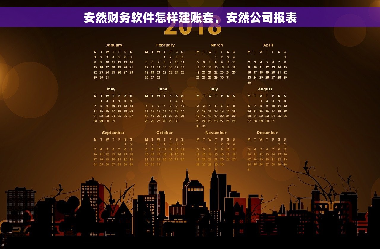 安然财务软件怎样建账套，安然公司报表