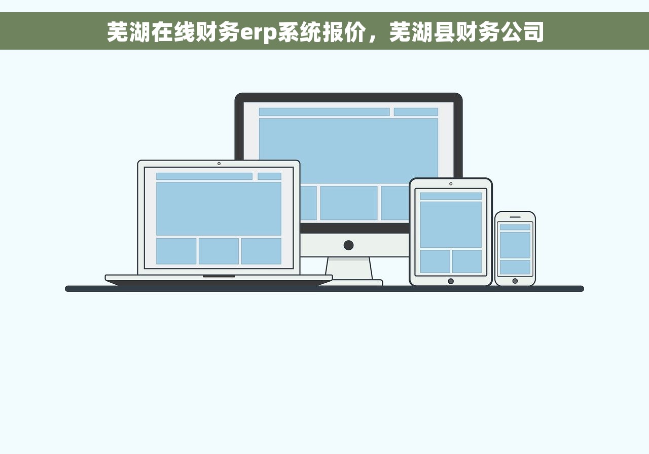芜湖在线财务erp系统报价，芜湖县财务公司