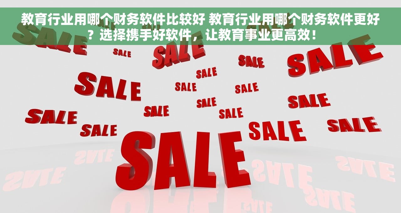 教育行业用哪个财务软件比较好 教育行业用哪个财务软件更好？选择携手好软件，让教育事业更高效！