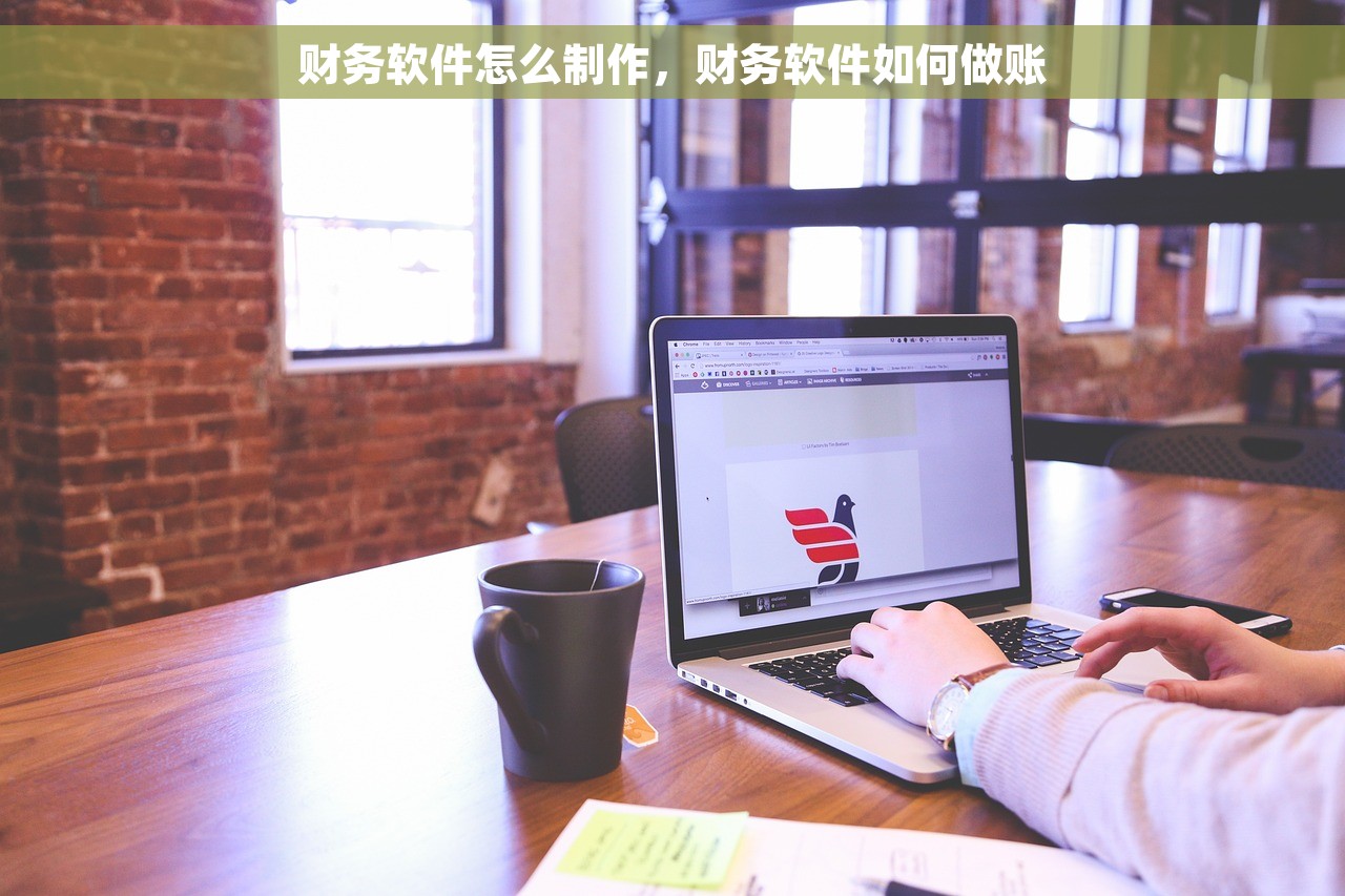 财务软件怎么制作，财务软件如何做账