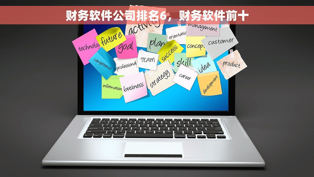 财务软件公司排名6，财务软件前十