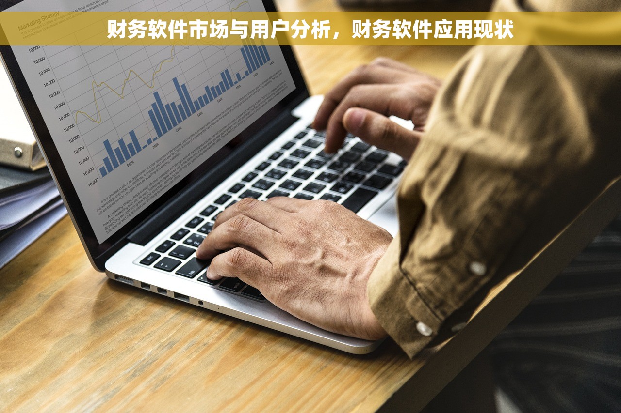 财务软件市场与用户分析，财务软件应用现状