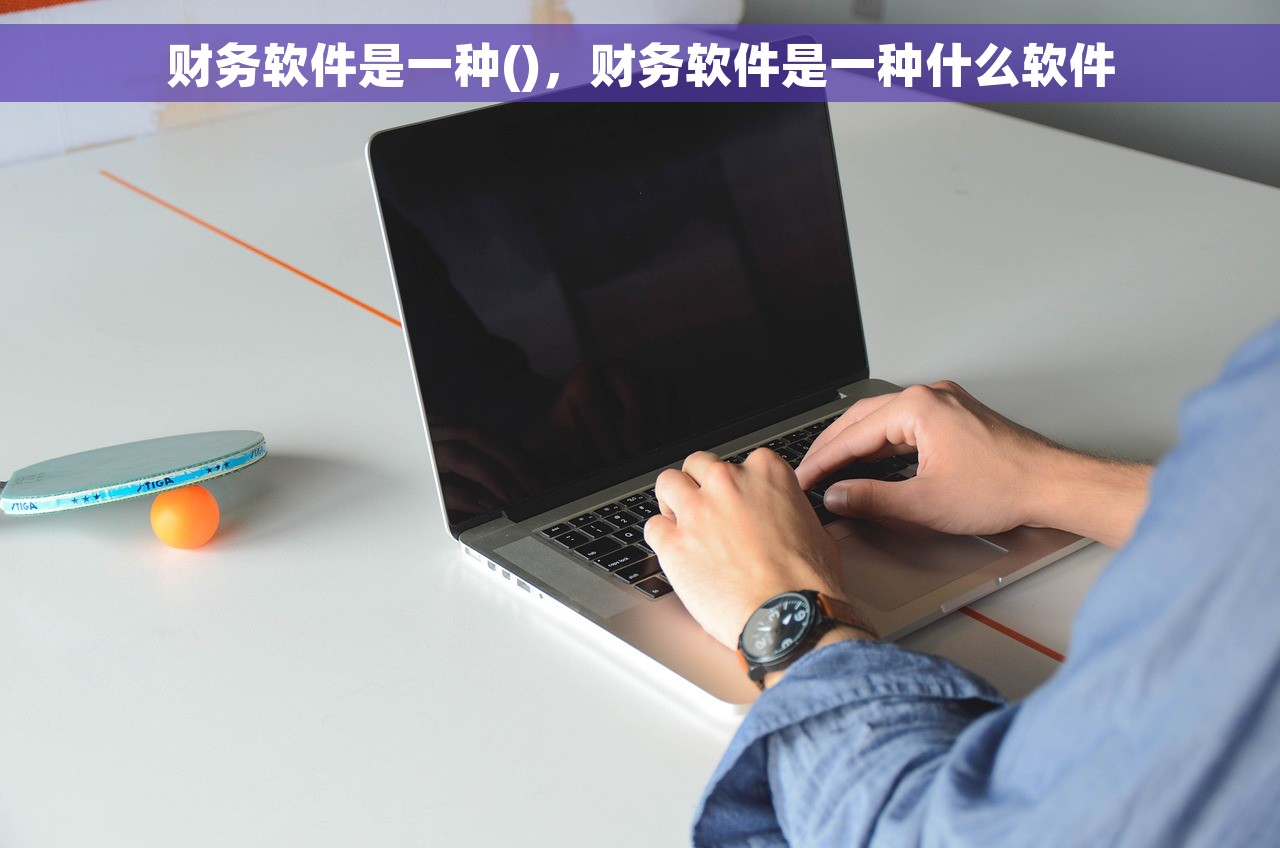 财务软件是一种()，财务软件是一种什么软件
