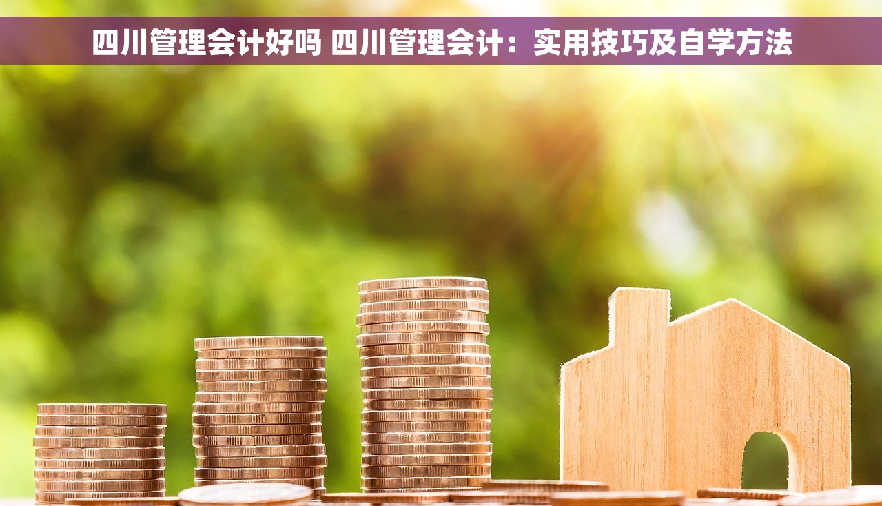 四川管理会计好吗 四川管理会计：实用技巧及自学方法
