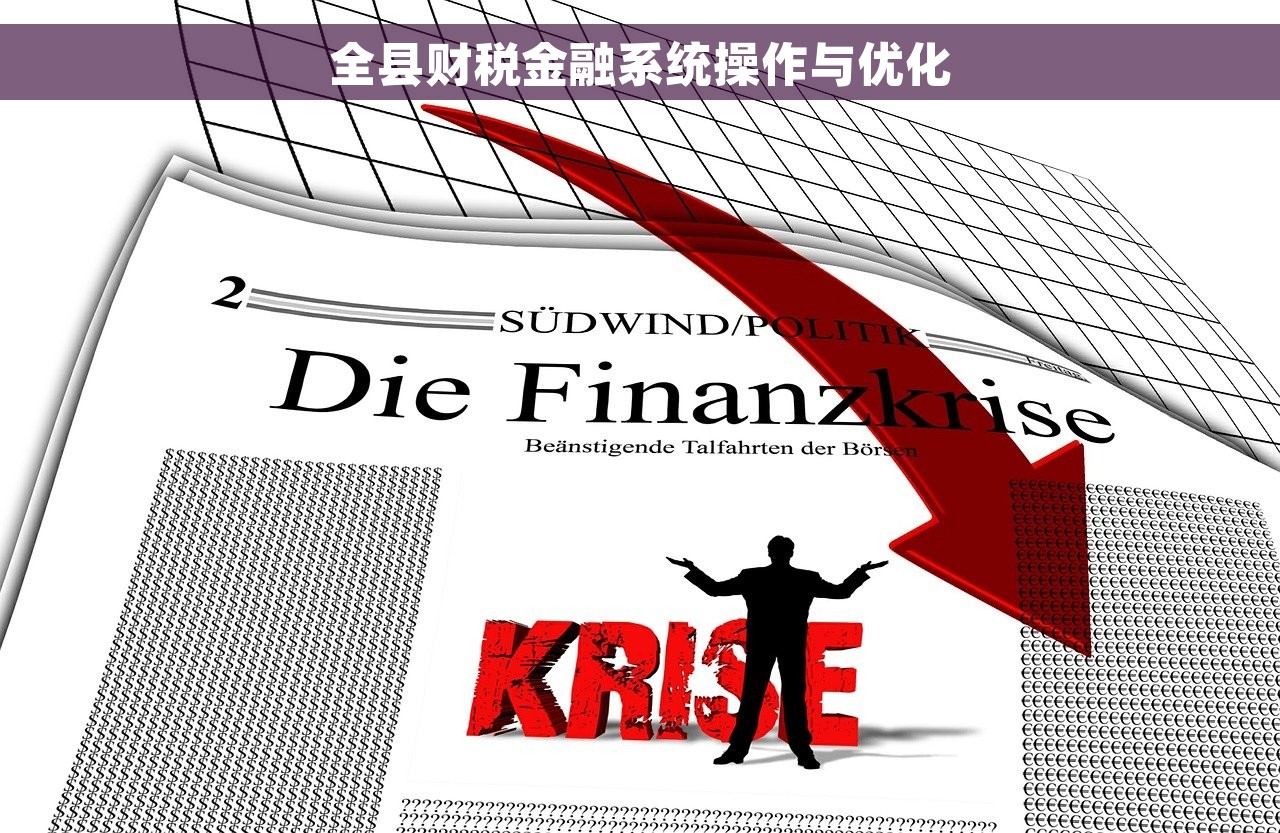 全县财税金融系统操作与优化