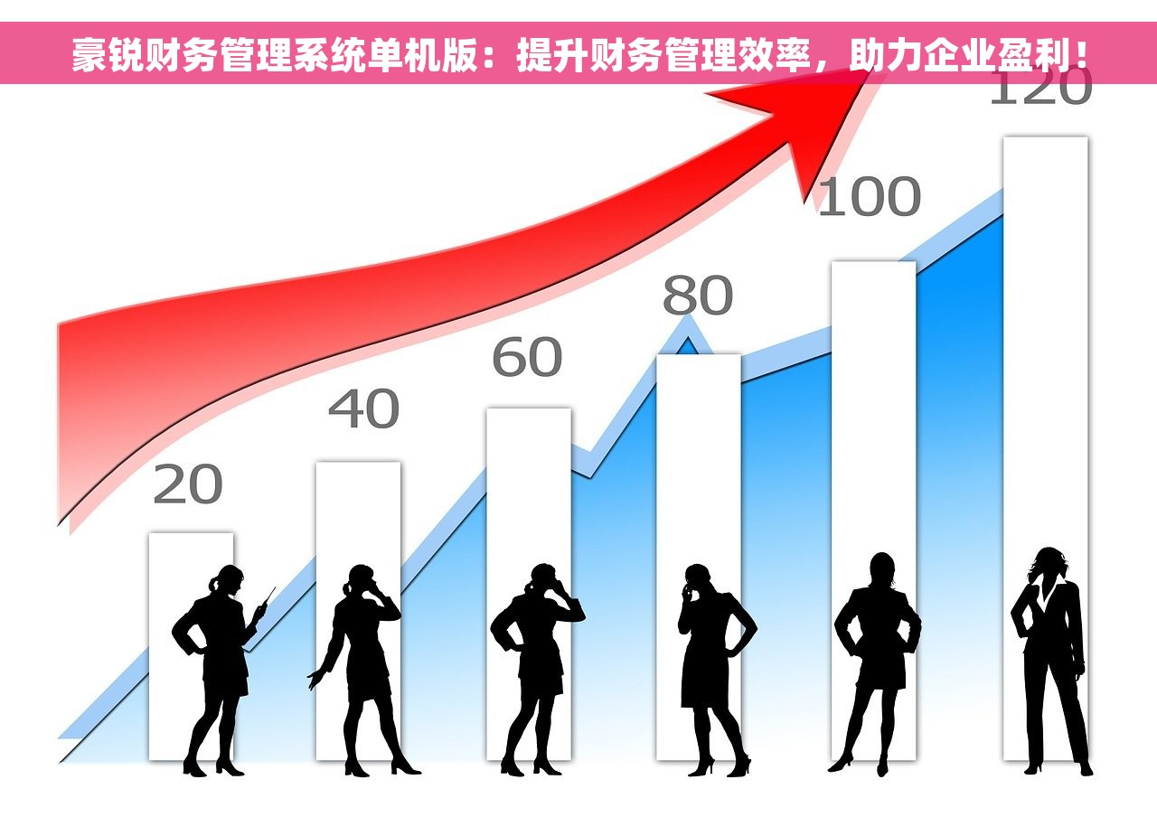 豪锐财务管理系统单机版：提升财务管理效率，助力企业盈利！