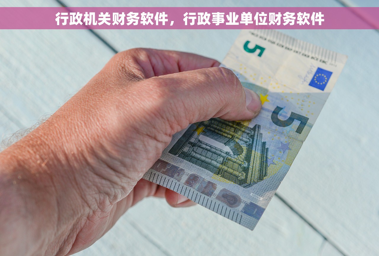 行政机关财务软件，行政事业单位财务软件