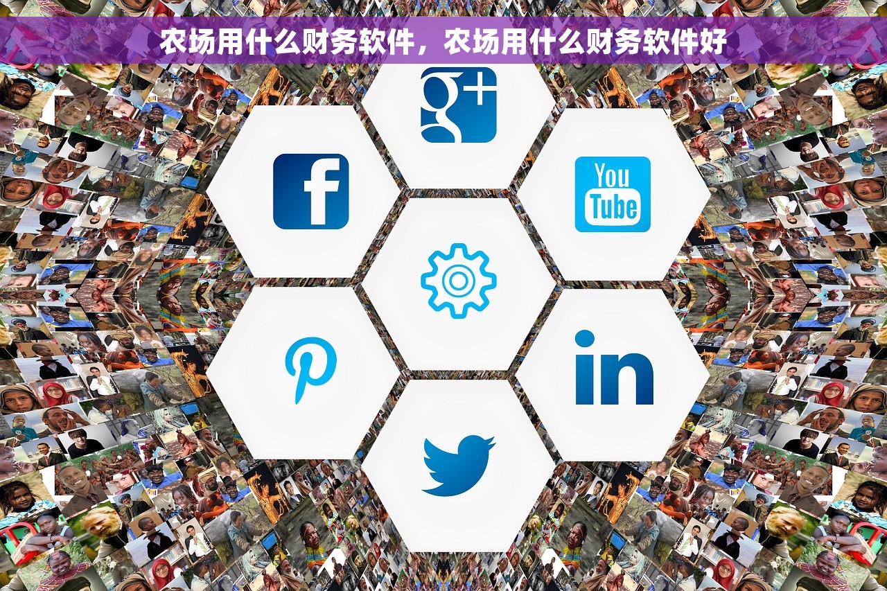 农场用什么财务软件，农场用什么财务软件好