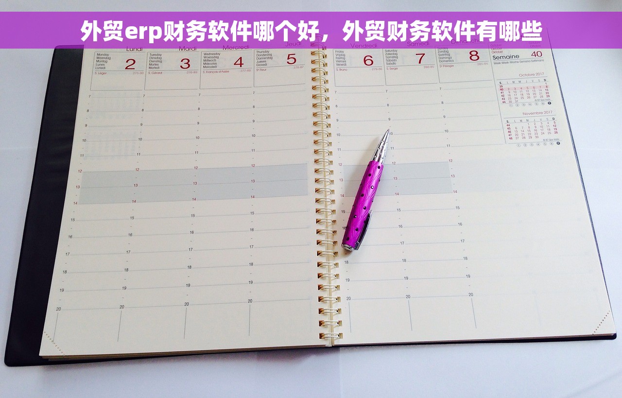 外贸erp财务软件哪个好，外贸财务软件有哪些
