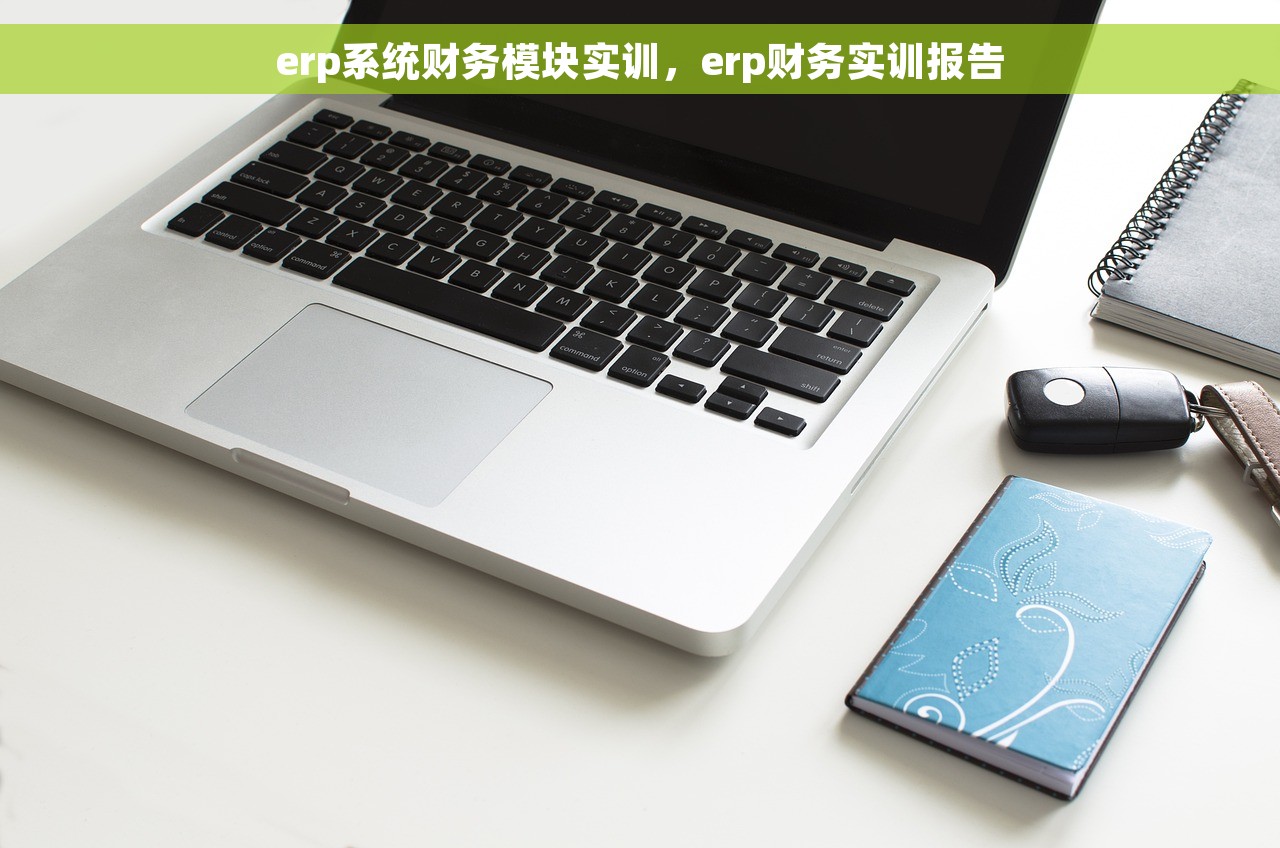 erp系统财务模块实训，erp财务实训报告