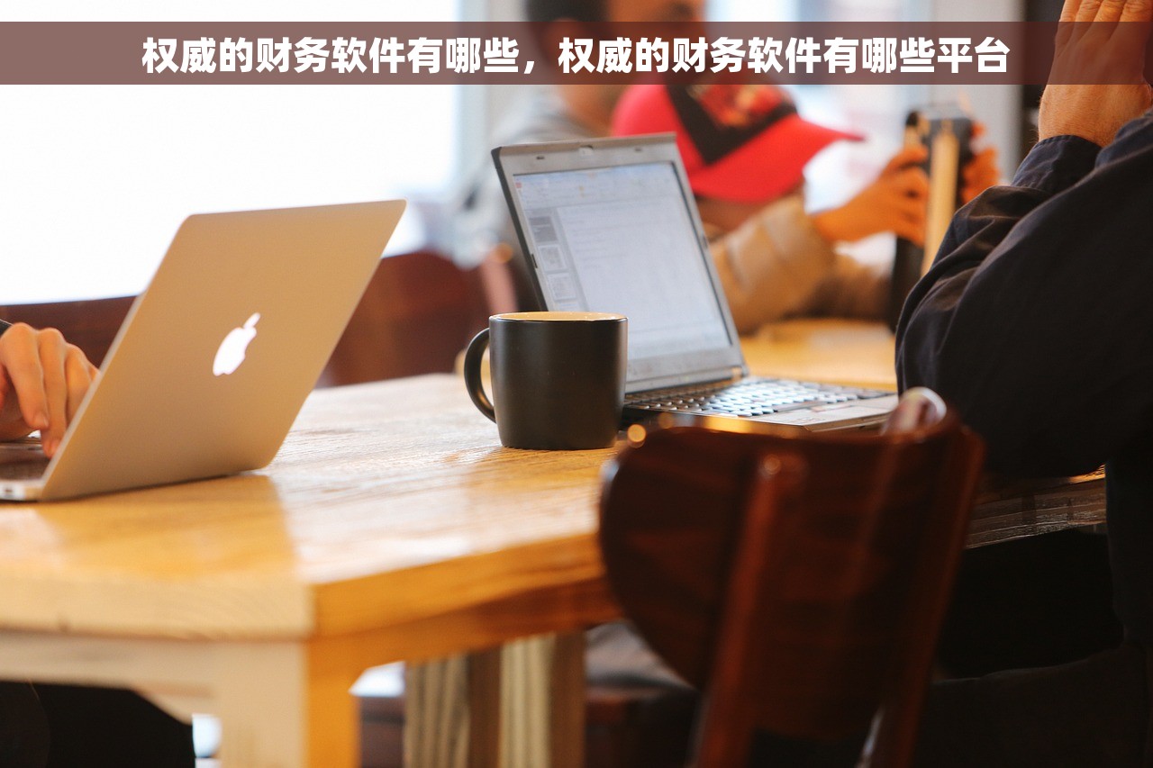 权威的财务软件有哪些，权威的财务软件有哪些平台