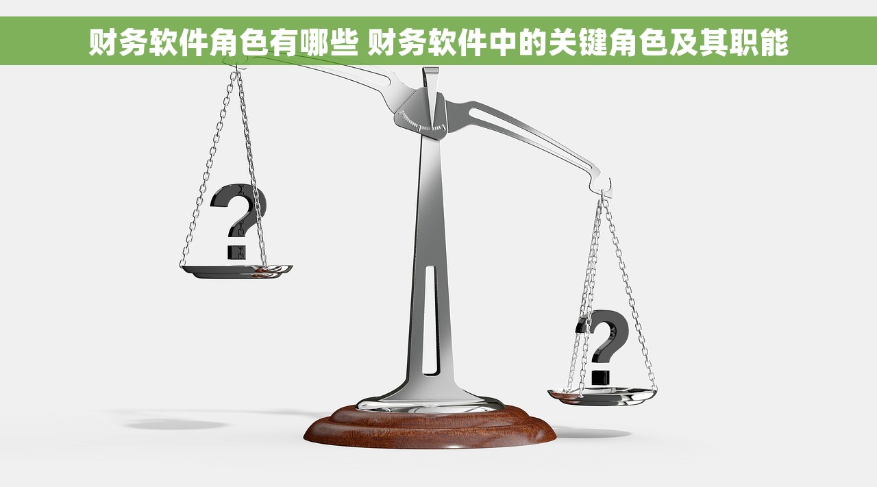 财务软件角色有哪些 财务软件中的关键角色及其职能
