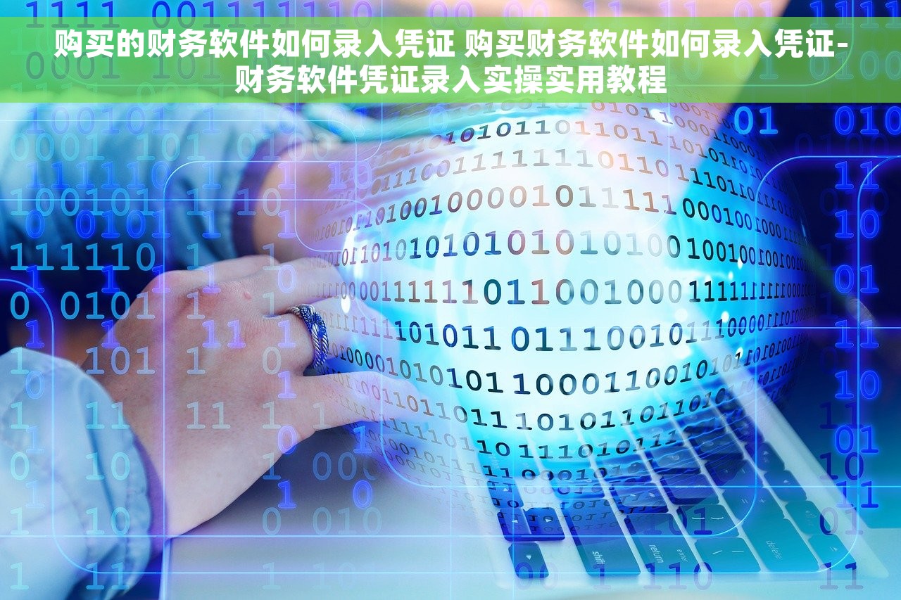 购买的财务软件如何录入凭证 购买财务软件如何录入凭证-财务软件凭证录入实操实用教程