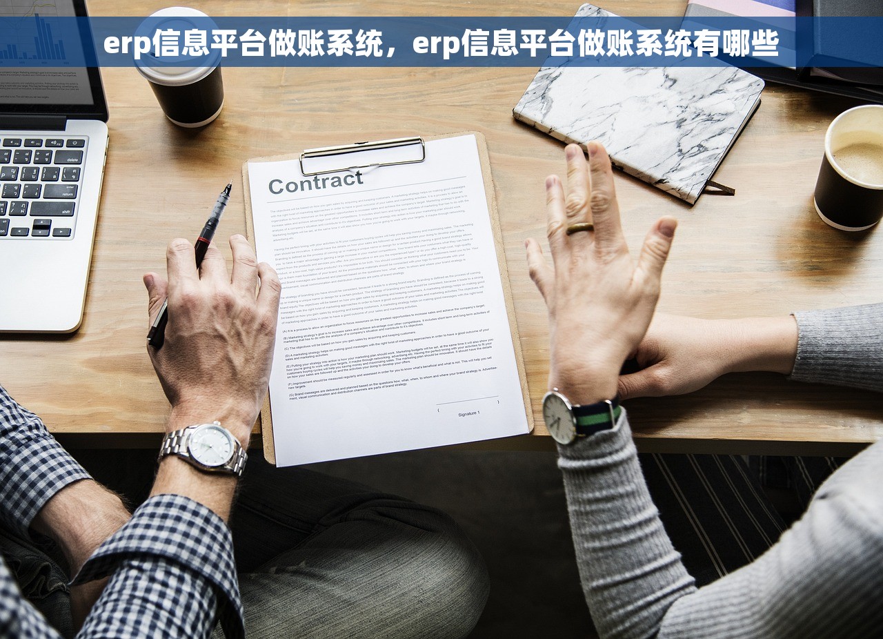 erp信息平台做账系统，erp信息平台做账系统有哪些