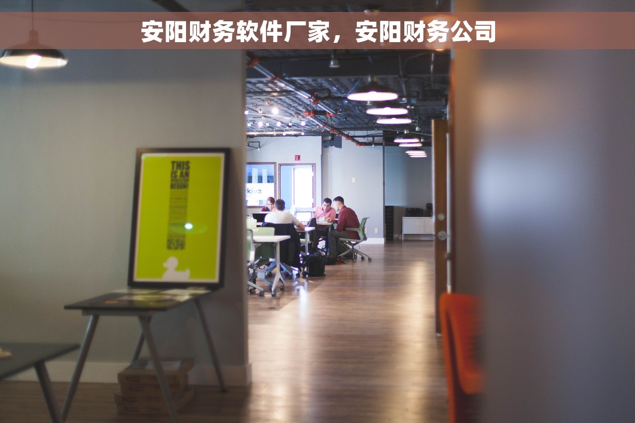 安阳财务软件厂家，安阳财务公司