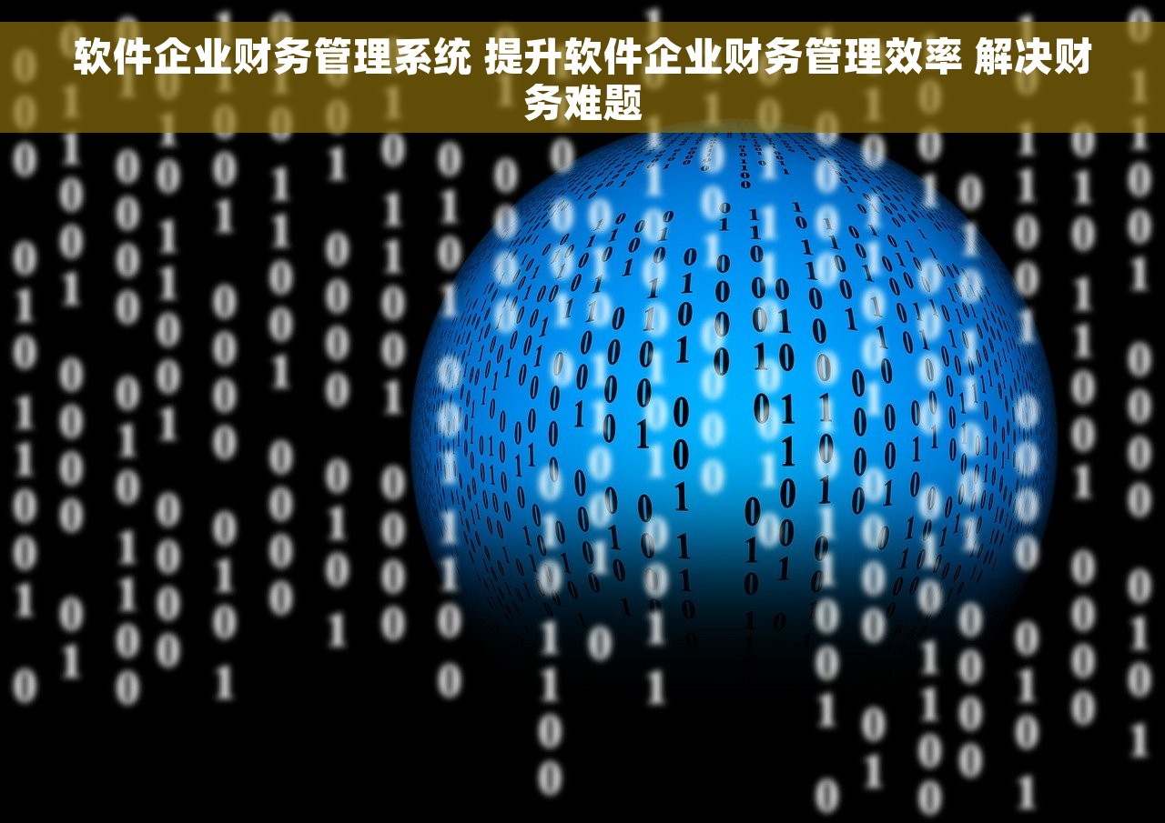 软件企业财务管理系统 提升软件企业财务管理效率 解决财务难题