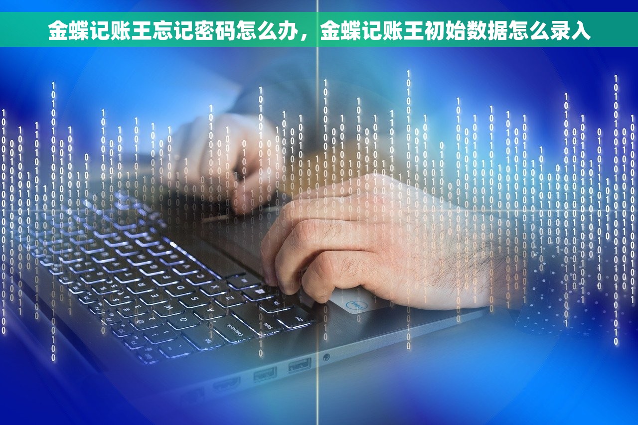 金蝶记账王忘记密码怎么办，金蝶记账王初始数据怎么录入
