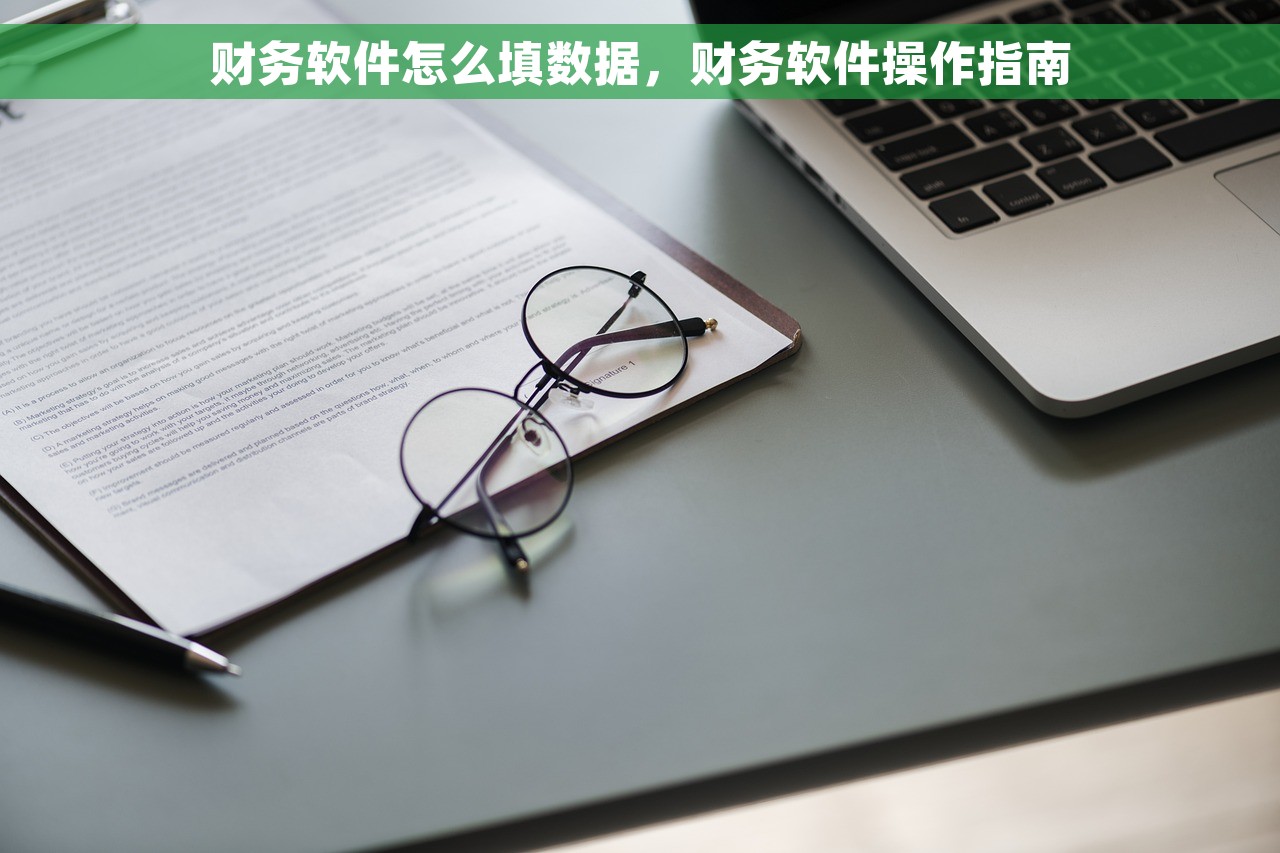 财务软件怎么填数据，财务软件操作指南