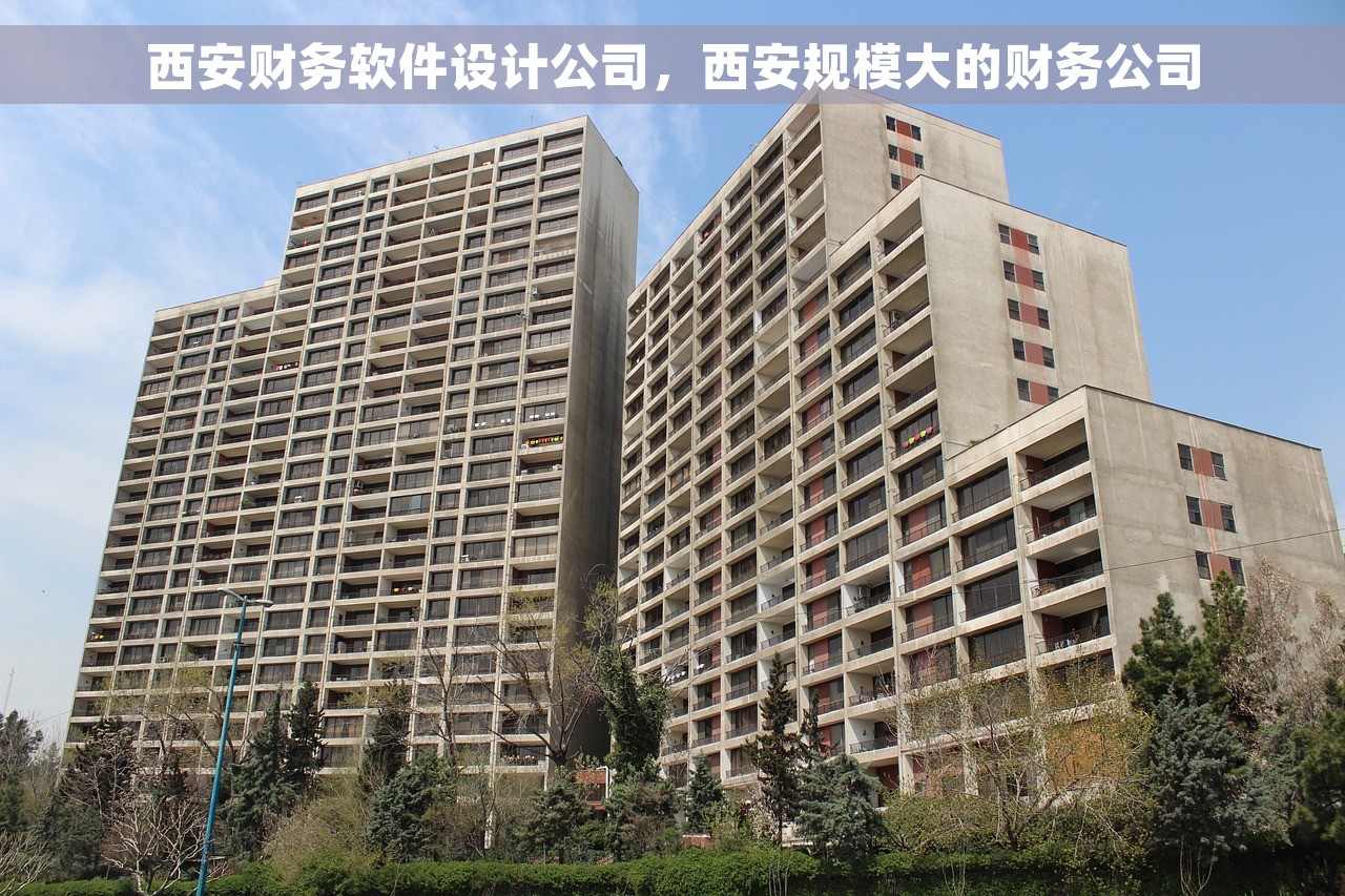 西安财务软件设计公司，西安规模大的财务公司