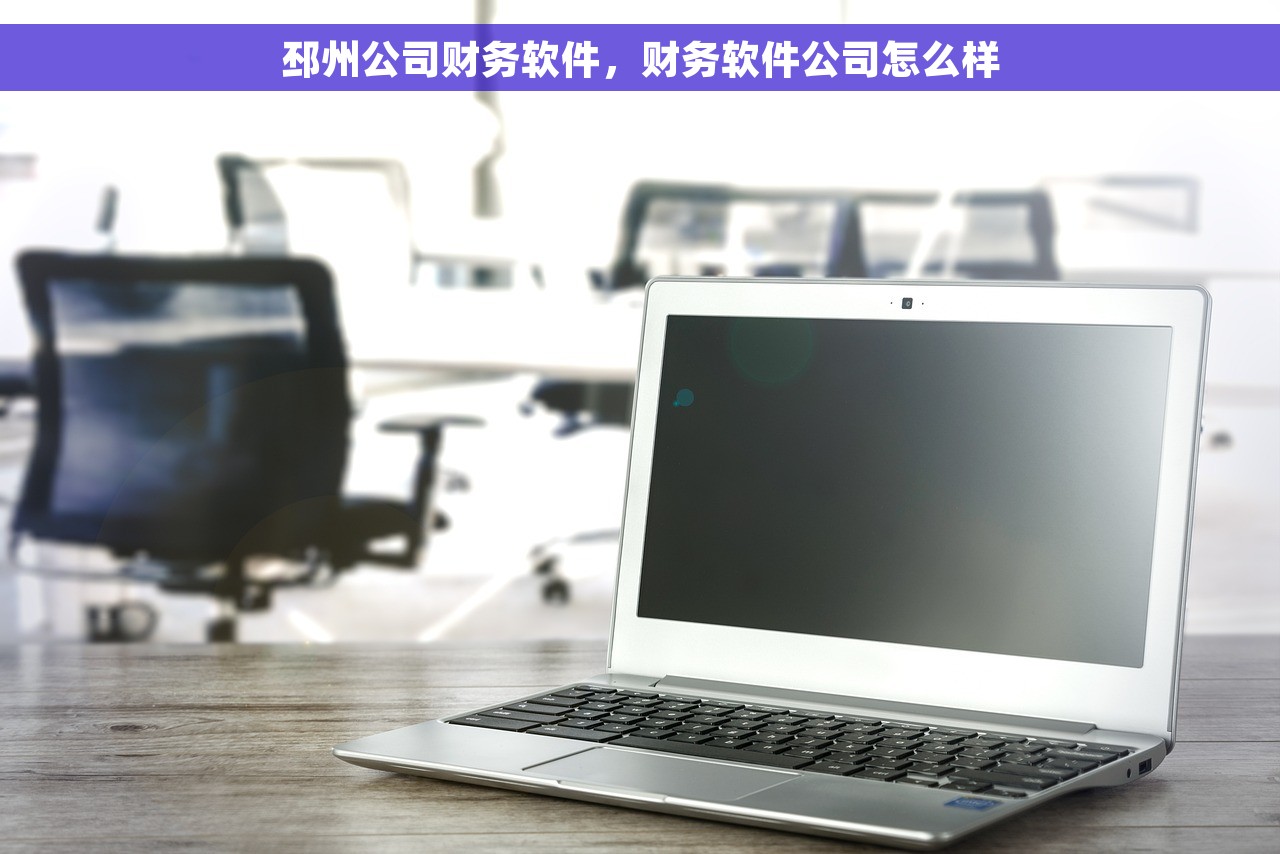 邳州公司财务软件，财务软件公司怎么样