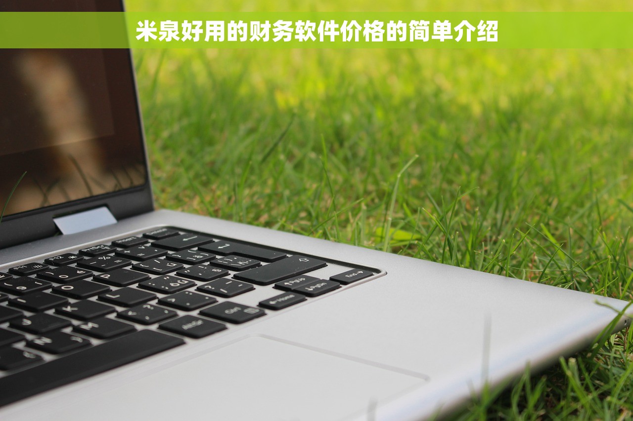 米泉好用的财务软件价格的简单介绍