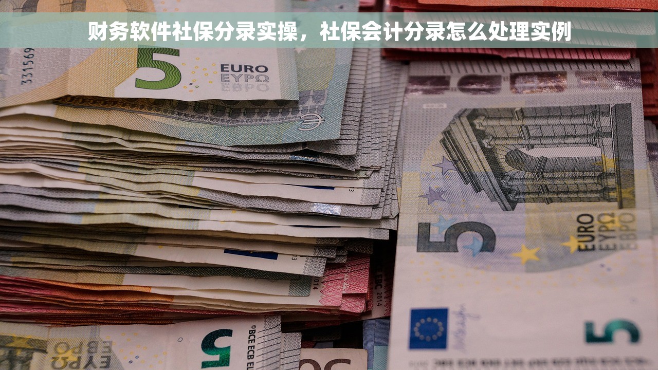 财务软件社保分录实操，社保会计分录怎么处理实例