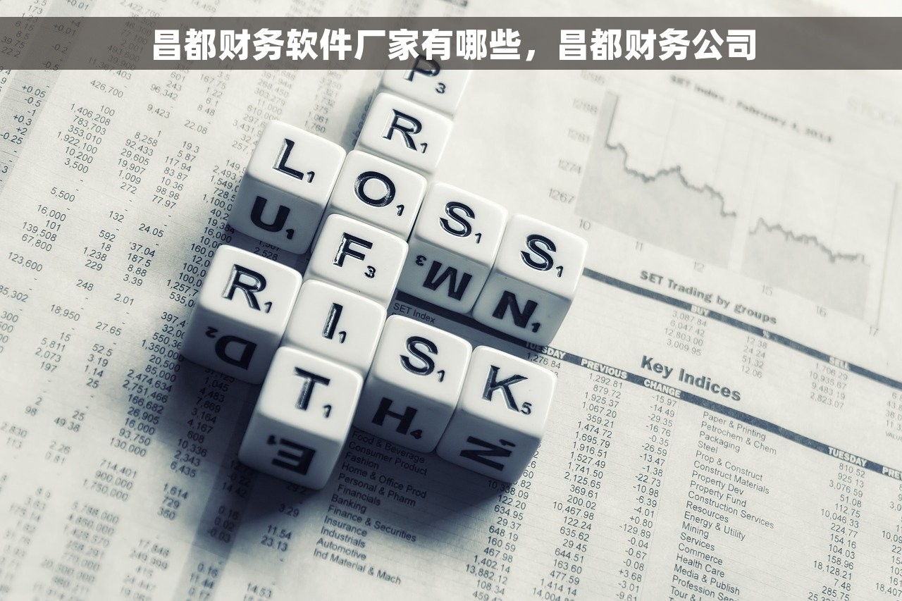 昌都财务软件厂家有哪些，昌都财务公司