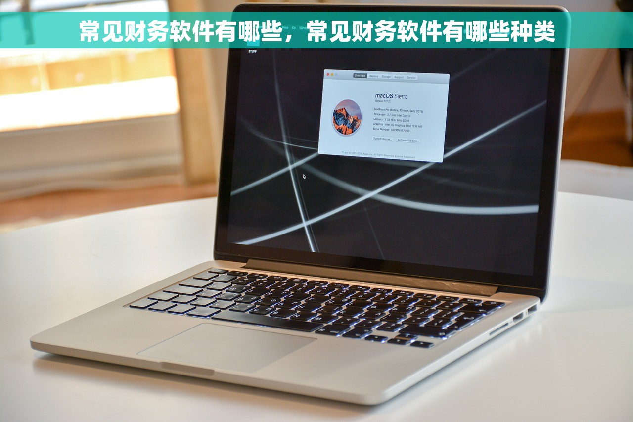 常见财务软件有哪些，常见财务软件有哪些种类