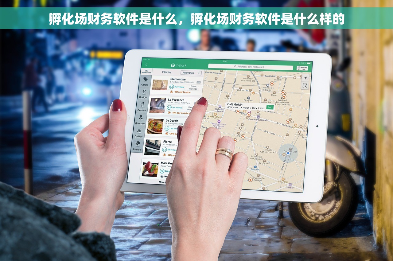 孵化场财务软件是什么，孵化场财务软件是什么样的
