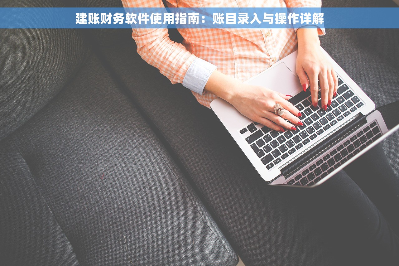 建账财务软件使用指南：账目录入与操作详解