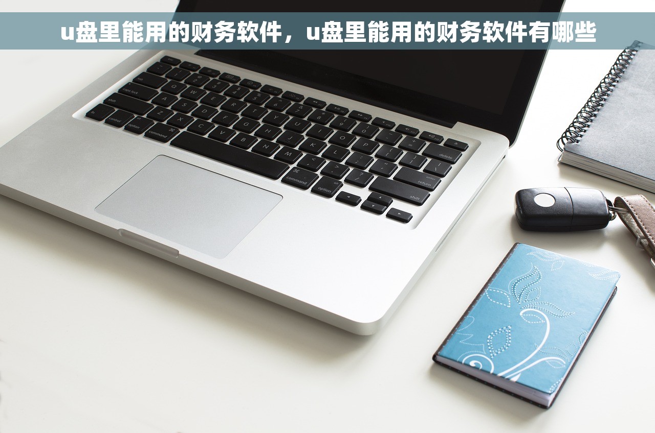 u盘里能用的财务软件，u盘里能用的财务软件有哪些