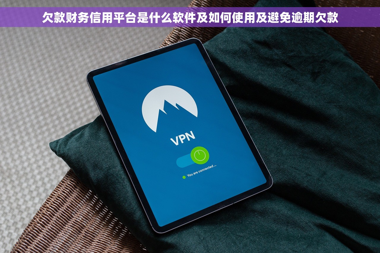 欠款财务信用平台是什么软件及如何使用及避免逾期欠款