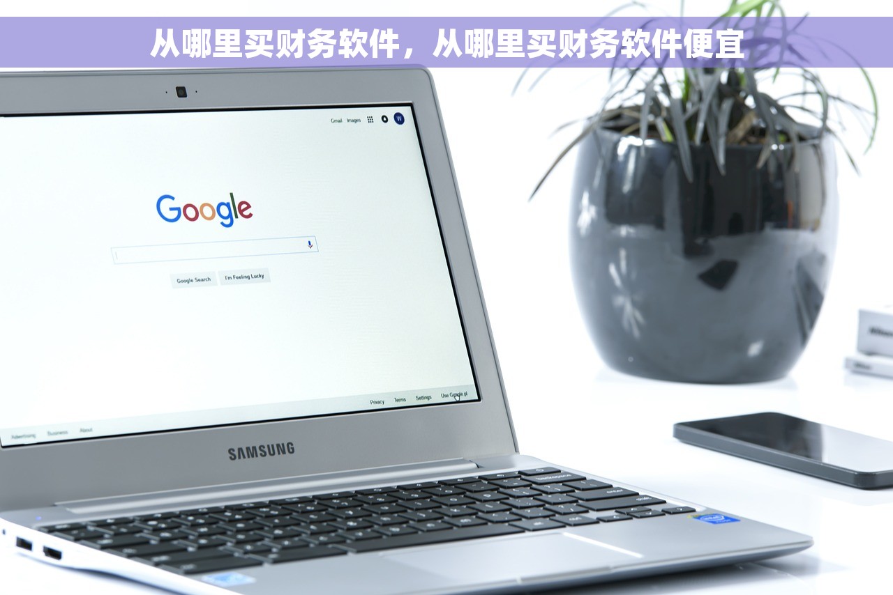 从哪里买财务软件，从哪里买财务软件便宜