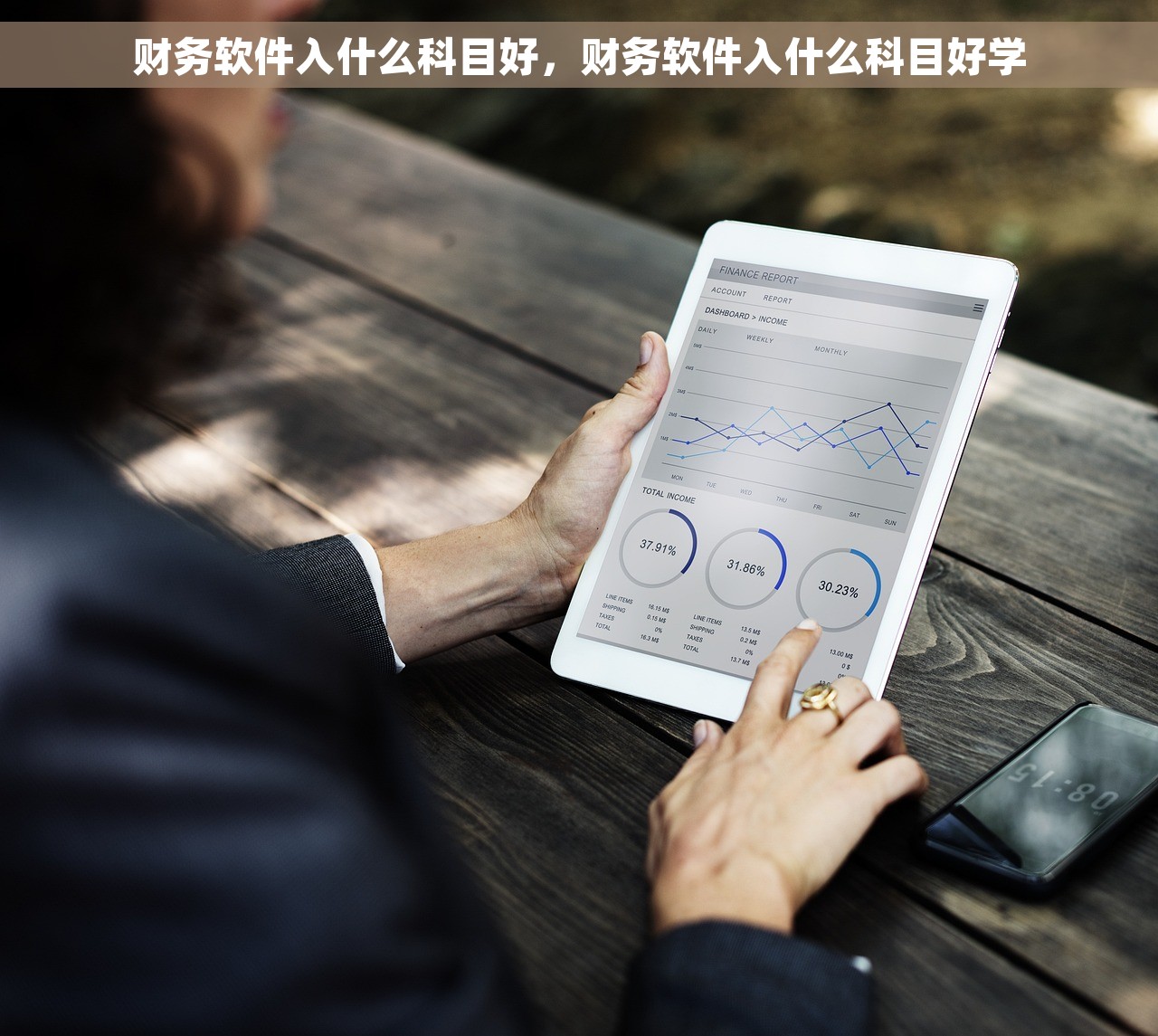 财务软件入什么科目好，财务软件入什么科目好学