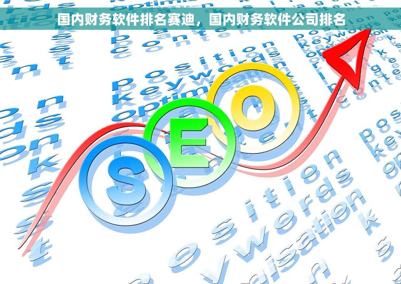 国内财务软件排名赛迪，国内财务软件公司排名