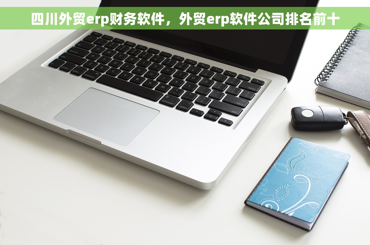 四川外贸erp财务软件，外贸erp软件公司排名前十