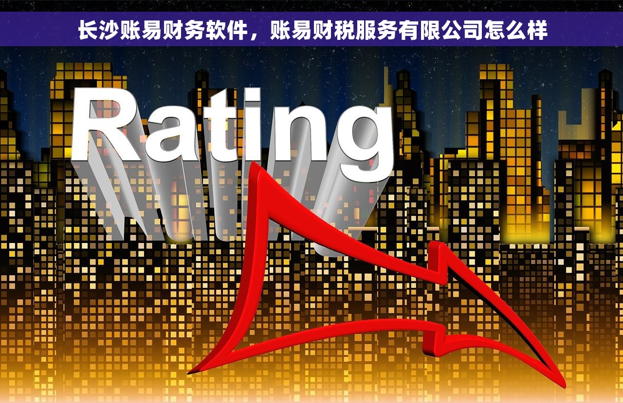 长沙账易财务软件，账易财税服务有限公司怎么样